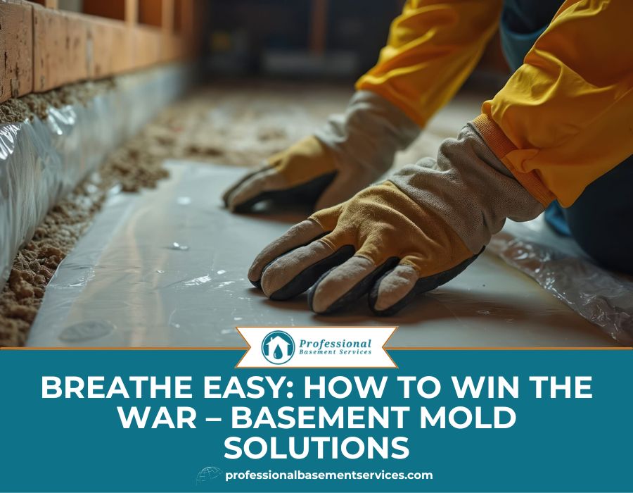 Breathe Easy How to Win the War – Basement Mold Solutions