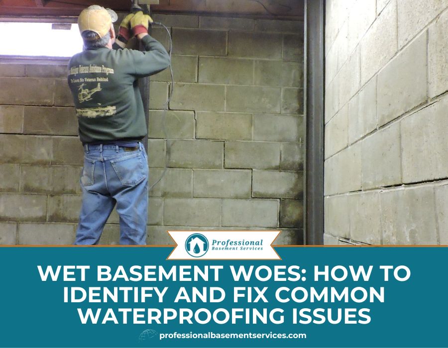 Wet Basement Woes How to Identify and Fix Common Waterproofing Issues