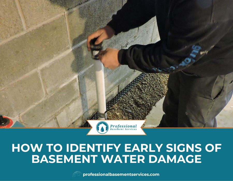 How to Identify Early Signs of Basement Water Damage
