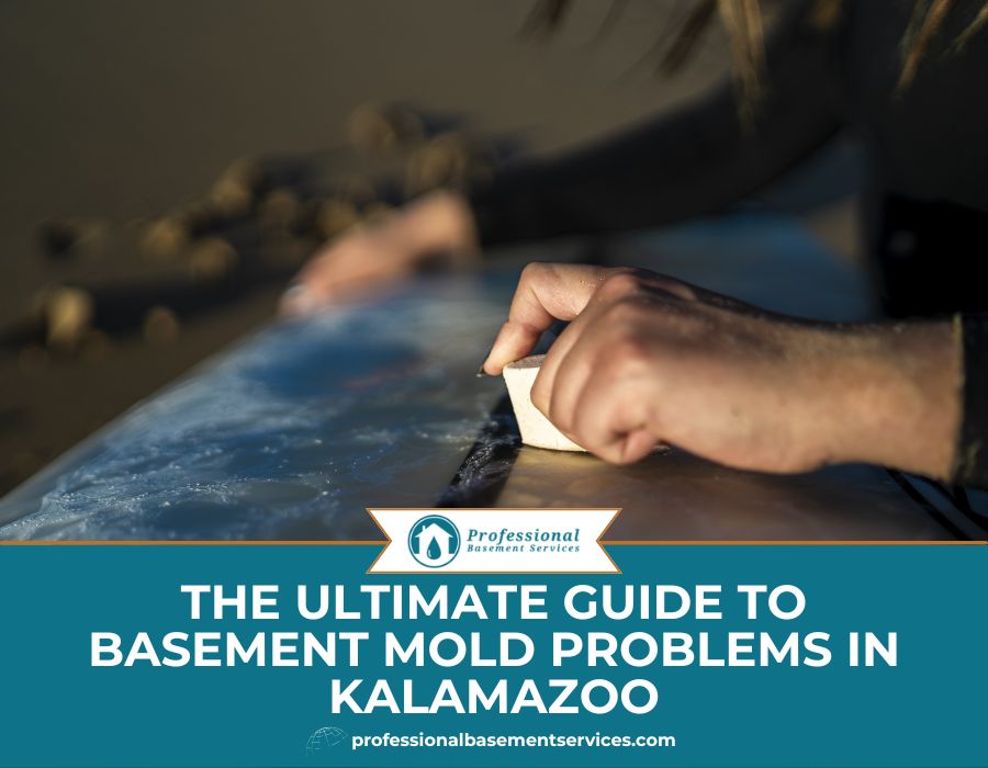Basement Mold Solutions Kalamazoo